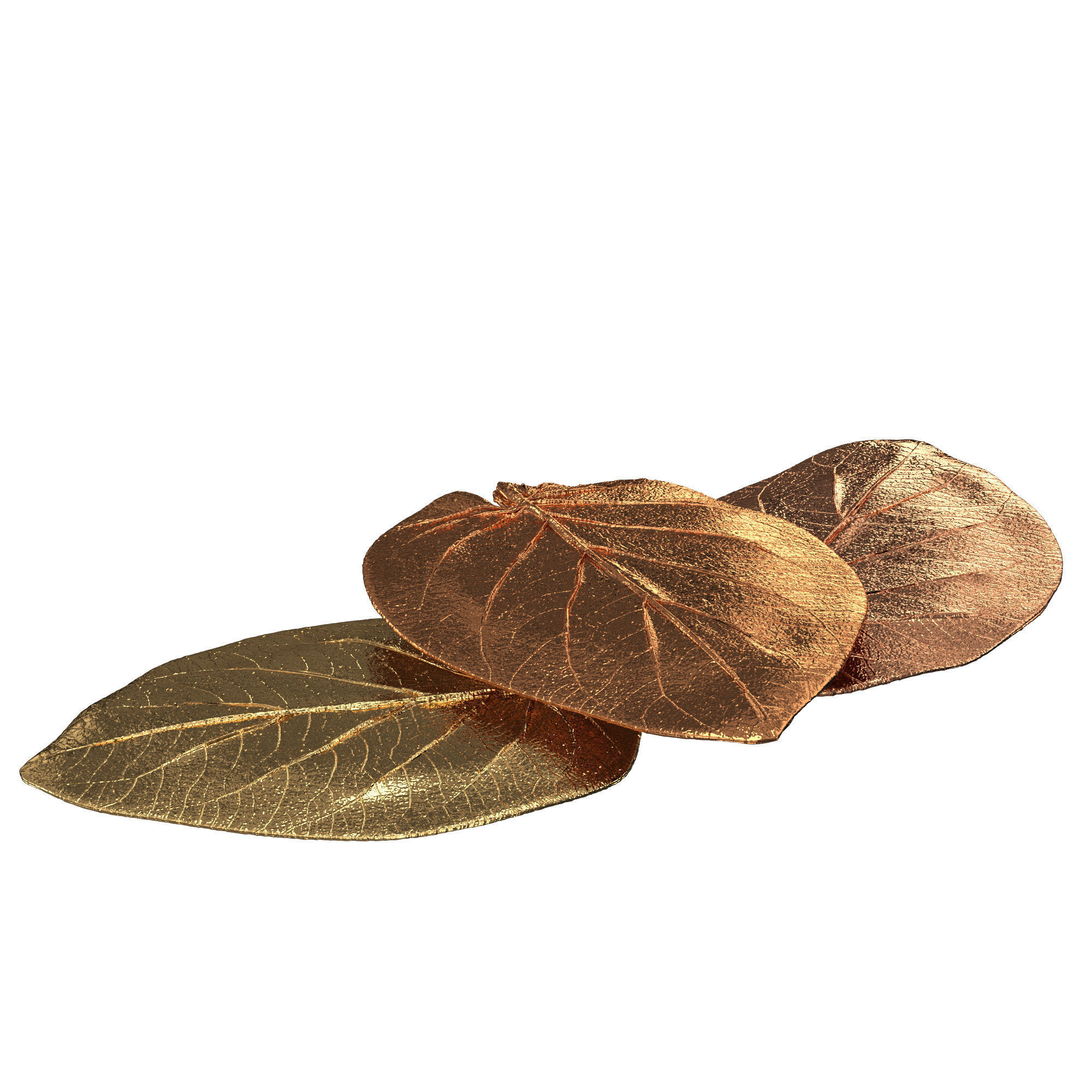 Decorative bronze leaf set 3D model_3