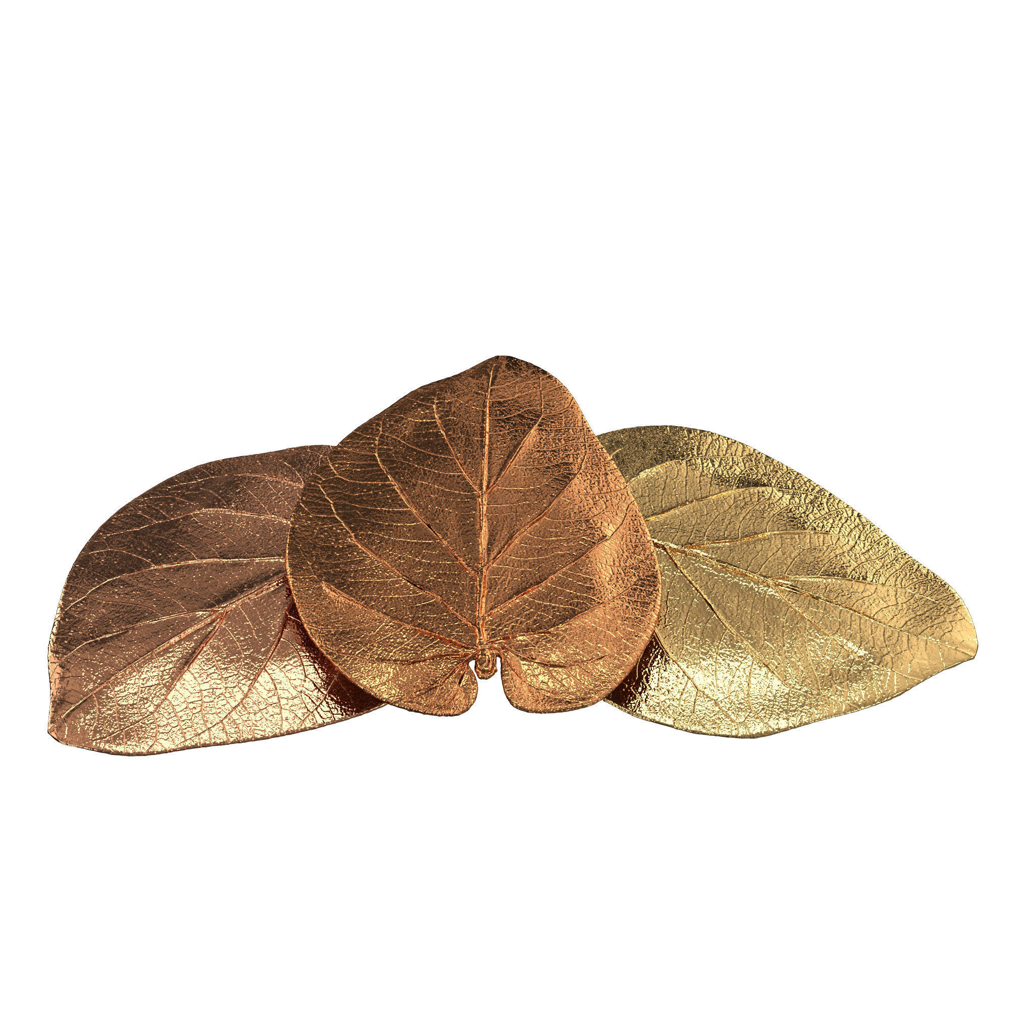 Decorative bronze leaf set 3D model_2