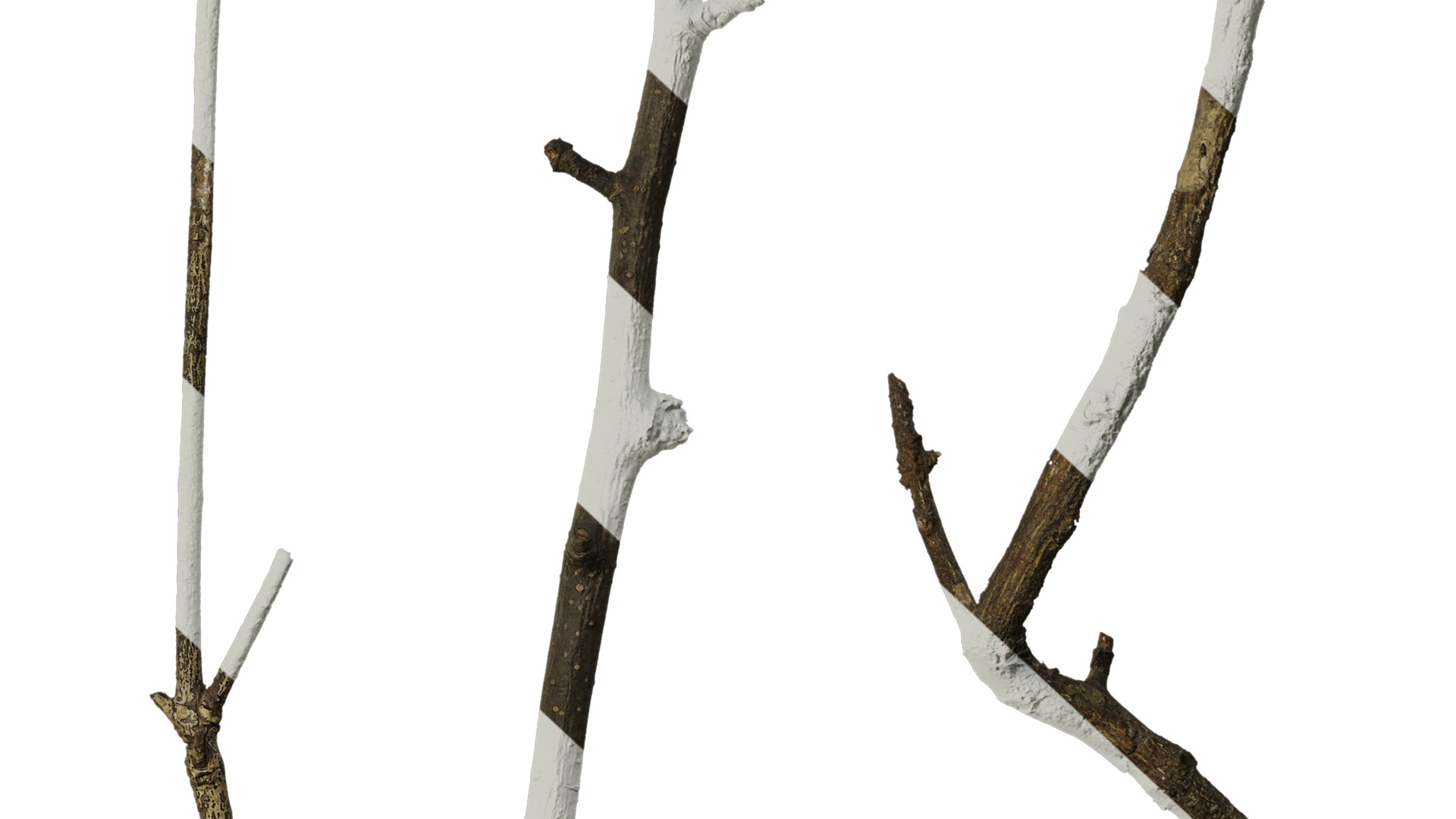 Anydrafts Dead branch 27 Texture_6