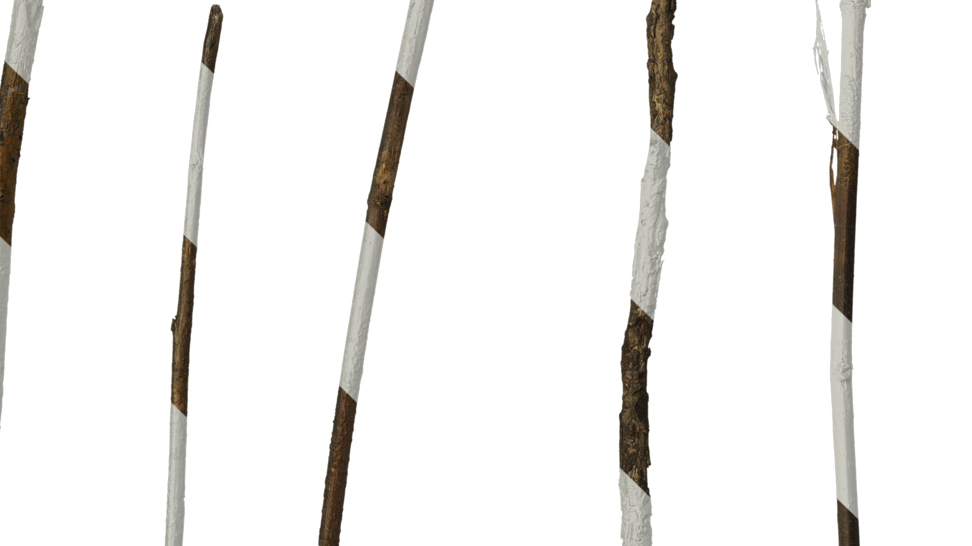 Anydrafts Dead branch 27 Texture_3