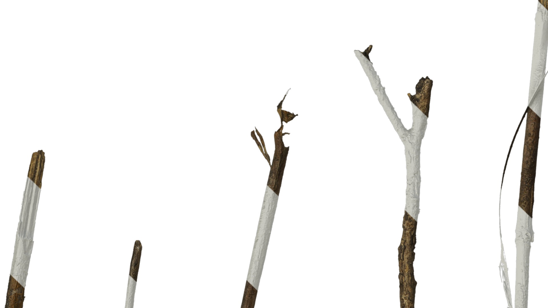 Anydrafts Dead branch 27 Texture_1