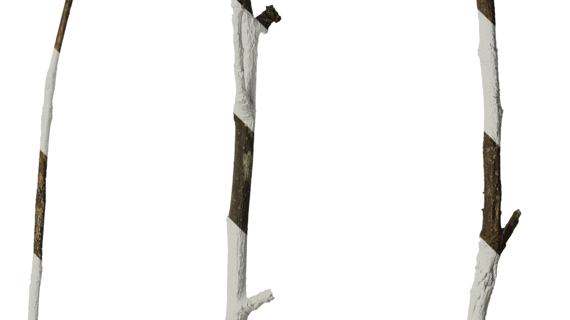 Anydrafts Dead branch 27 Texture_4