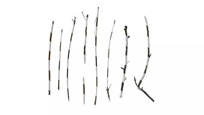 Anydrafts Dead branch 27