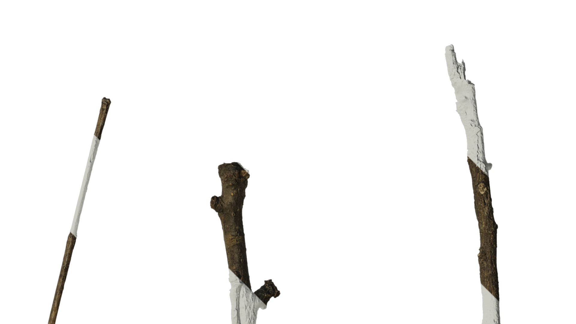 Anydrafts Dead branch 27 Texture_2