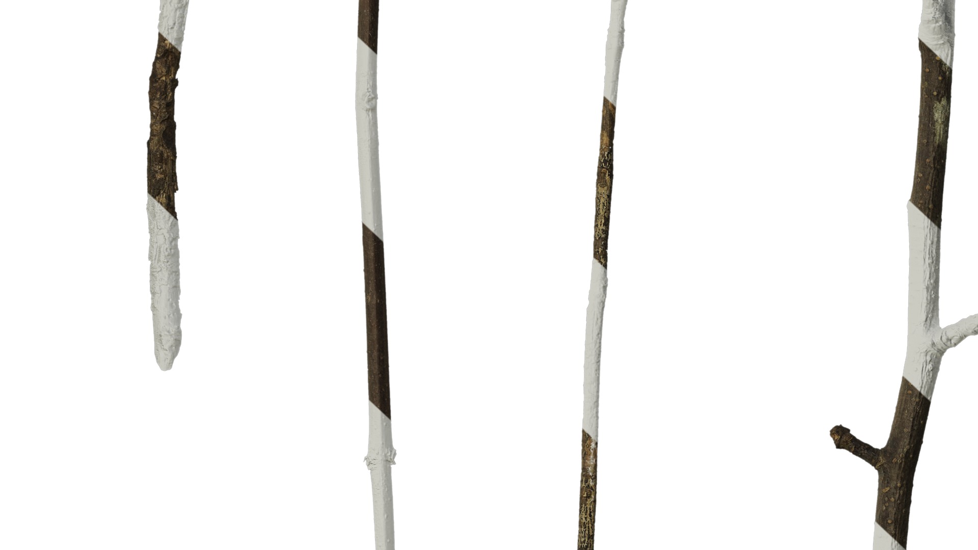 Anydrafts Dead branch 27 Texture_7