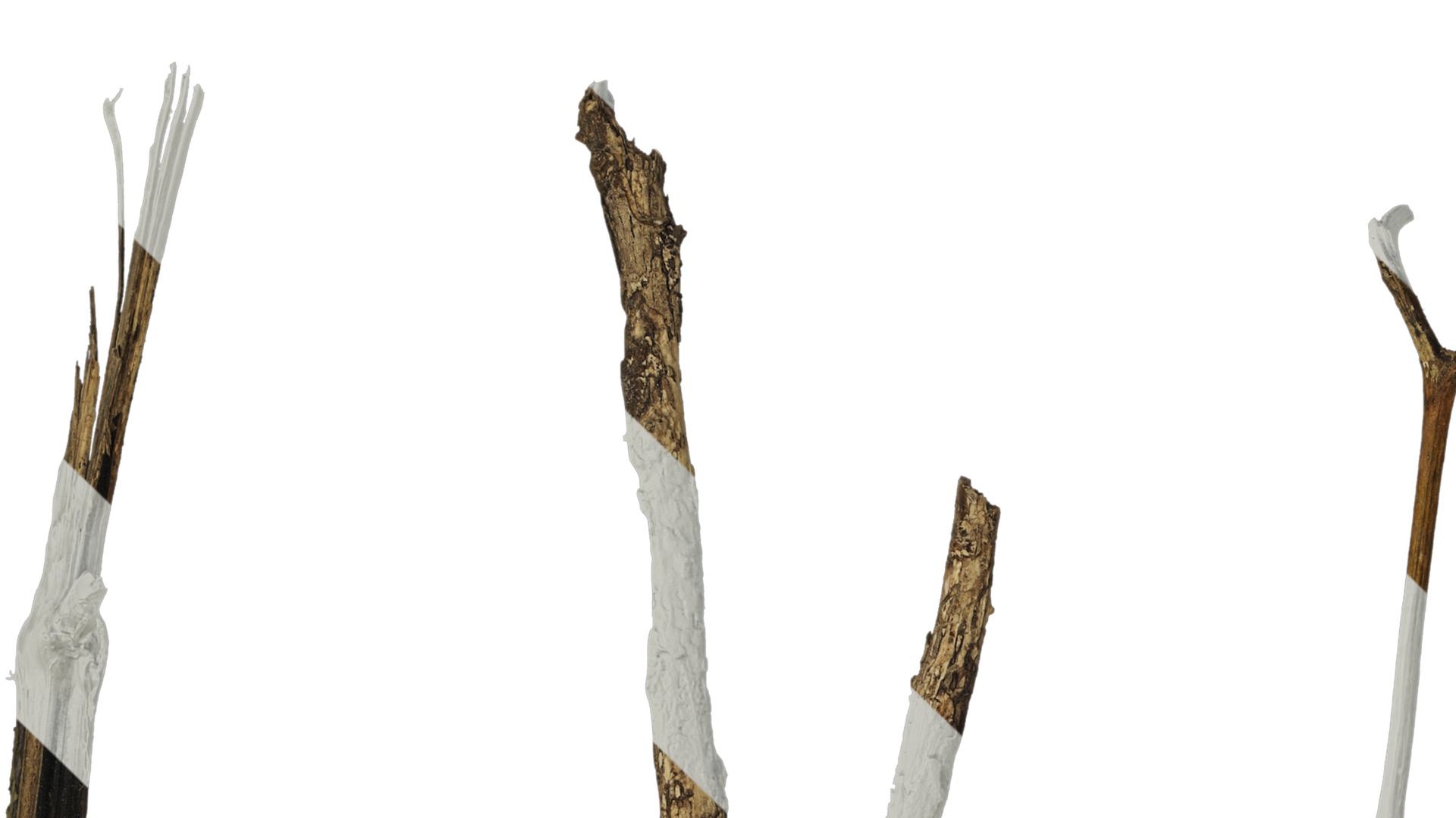 Anydrafts Dead branch 28 Texture_1