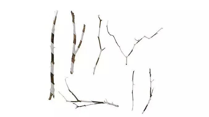 Anydrafts Dead branch 28