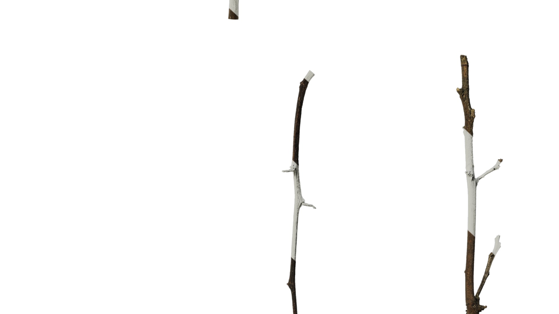 Anydrafts Dead branch 28 Texture_6