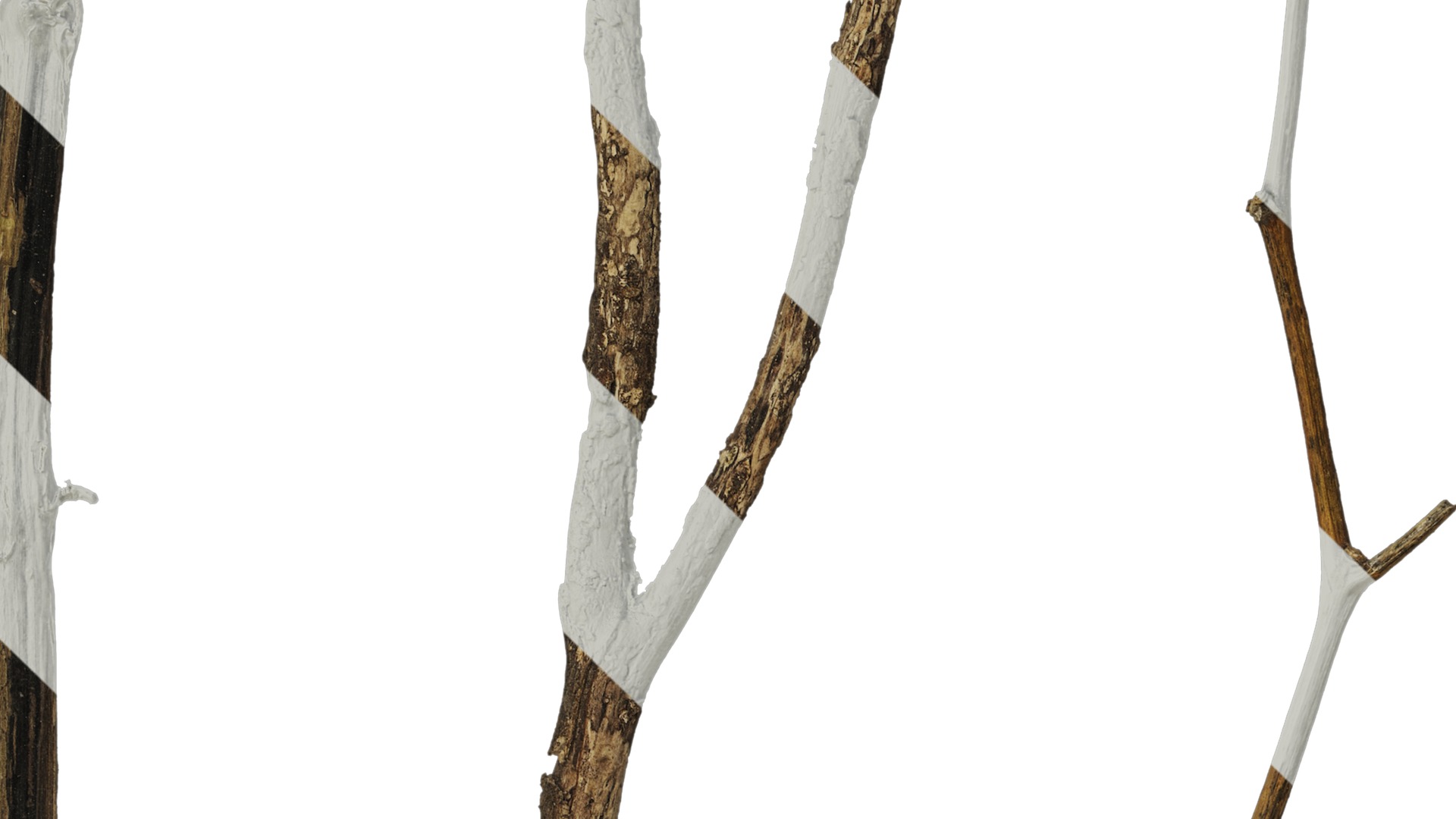 Anydrafts Dead branch 28 Texture_3