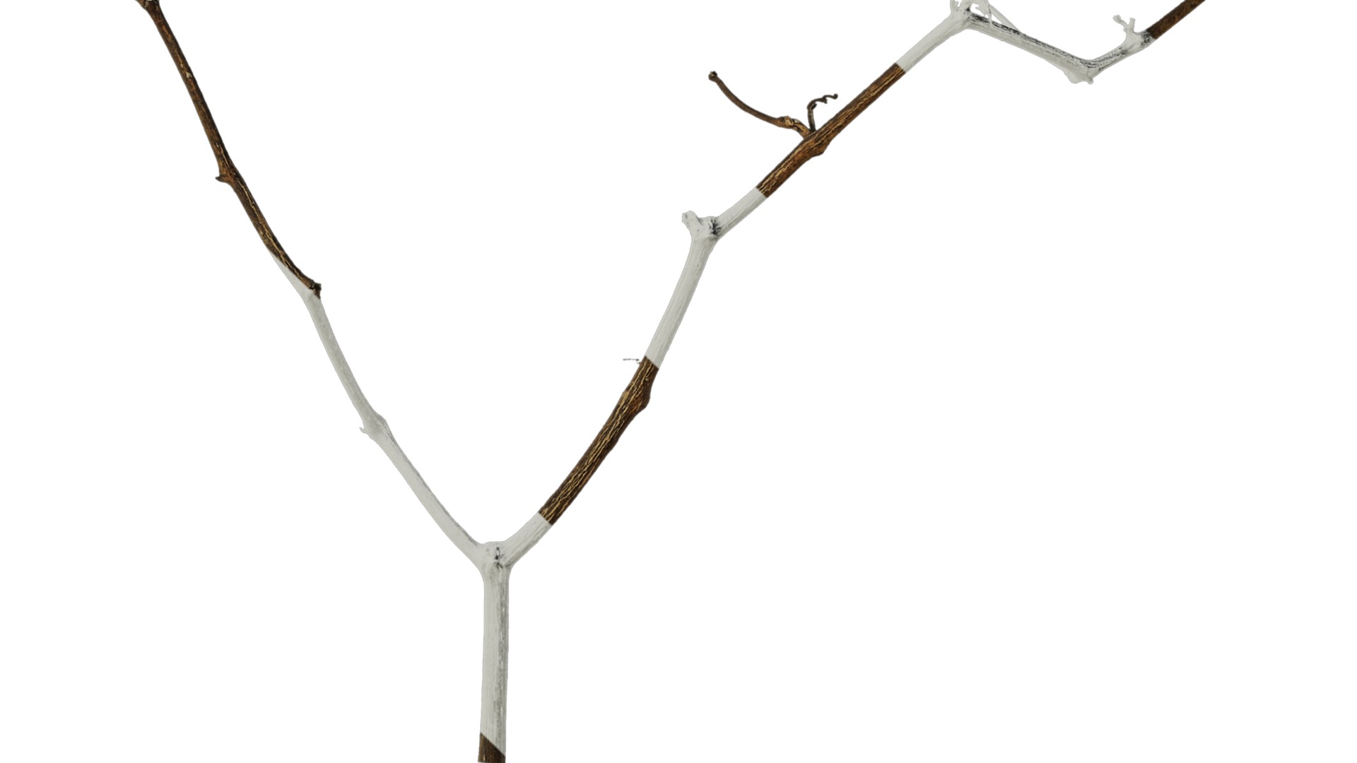 Anydrafts Dead branch 28 Texture_4