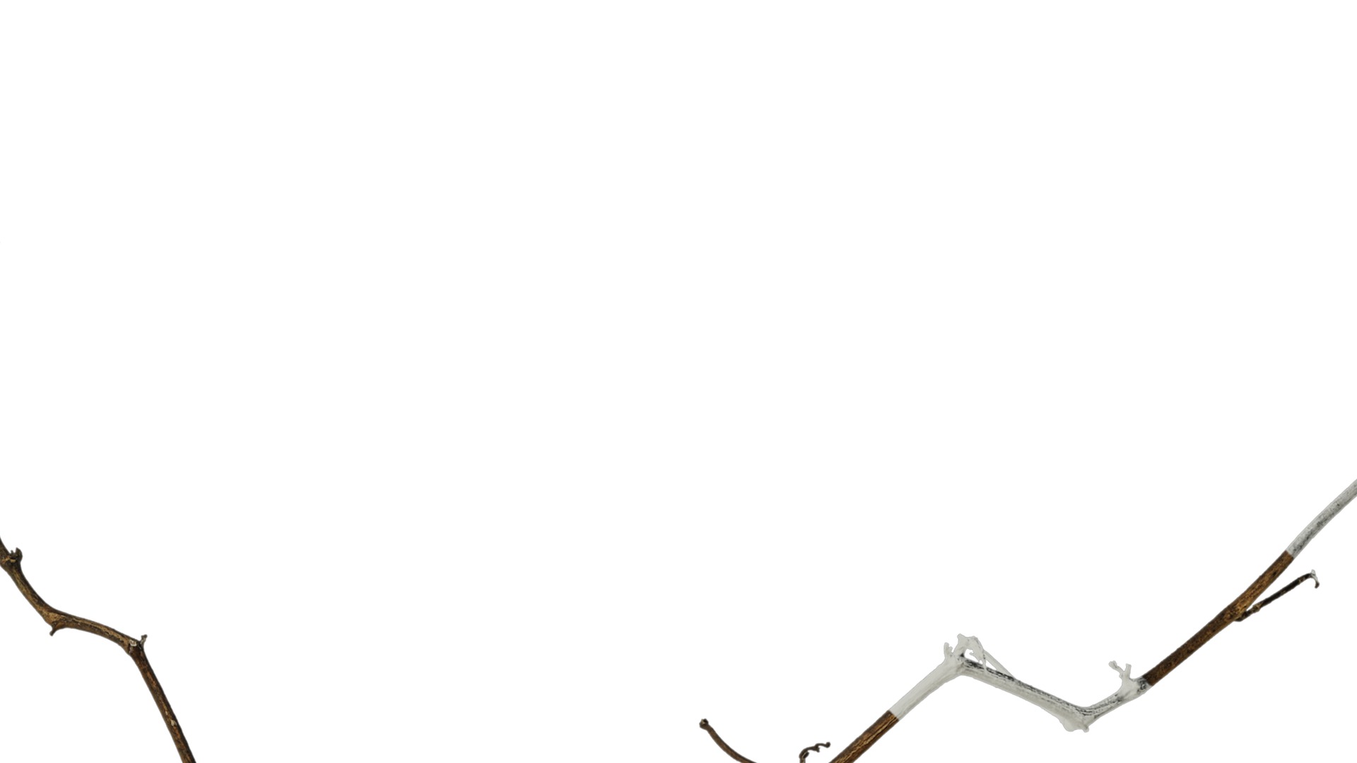 Anydrafts Dead branch 28 Texture_2