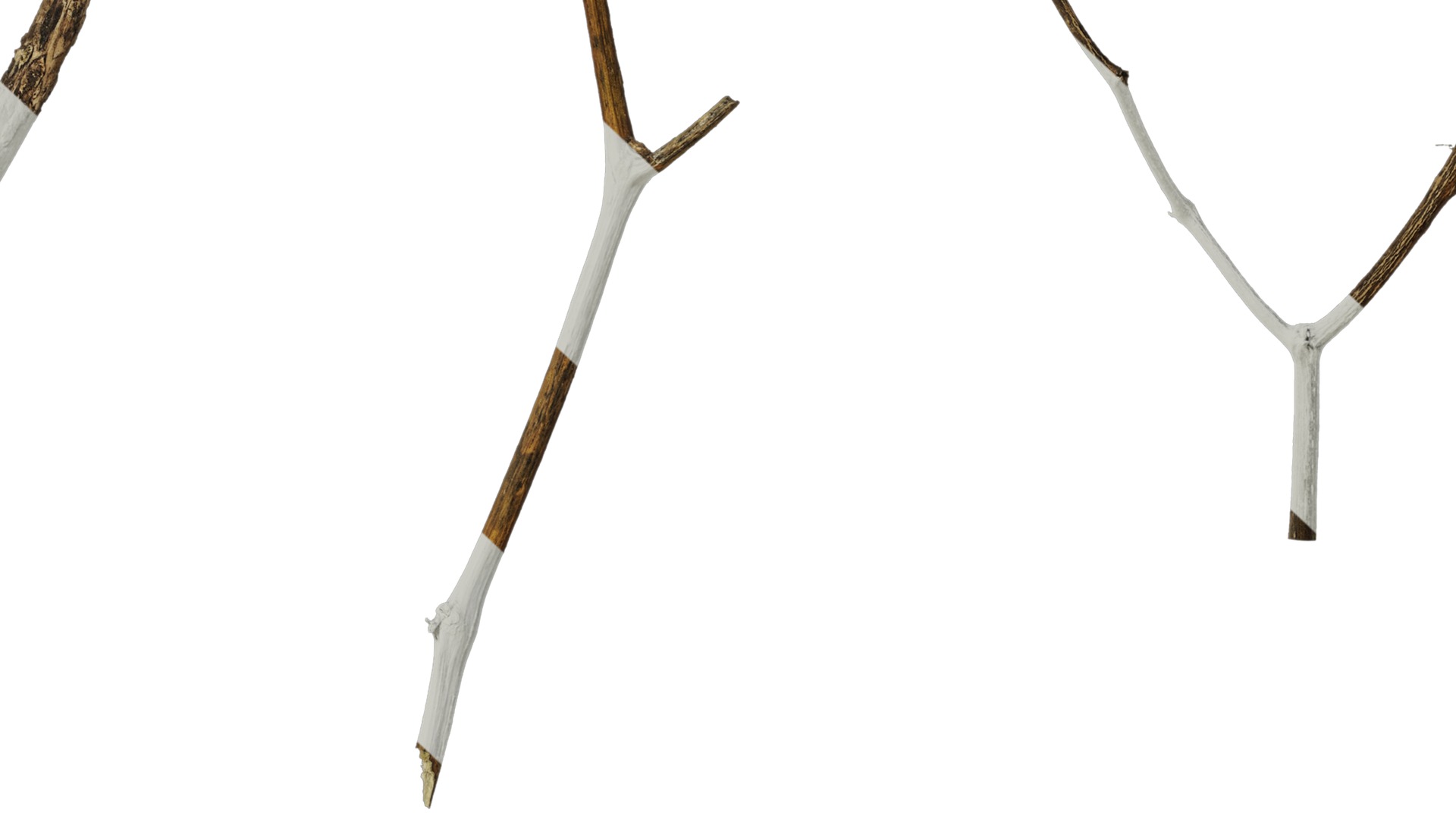 Anydrafts Dead branch 28 Texture_7