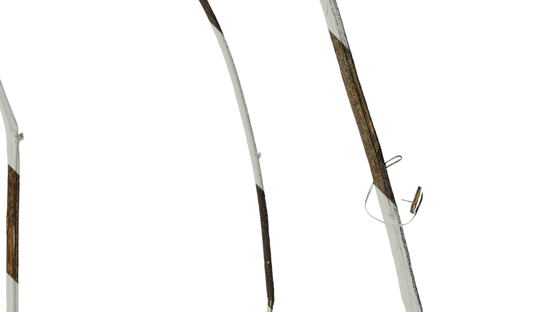 Anydrafts Dead branch 29 Texture_2