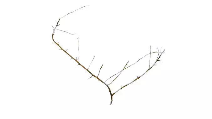 Anydrafts Dead branch 30