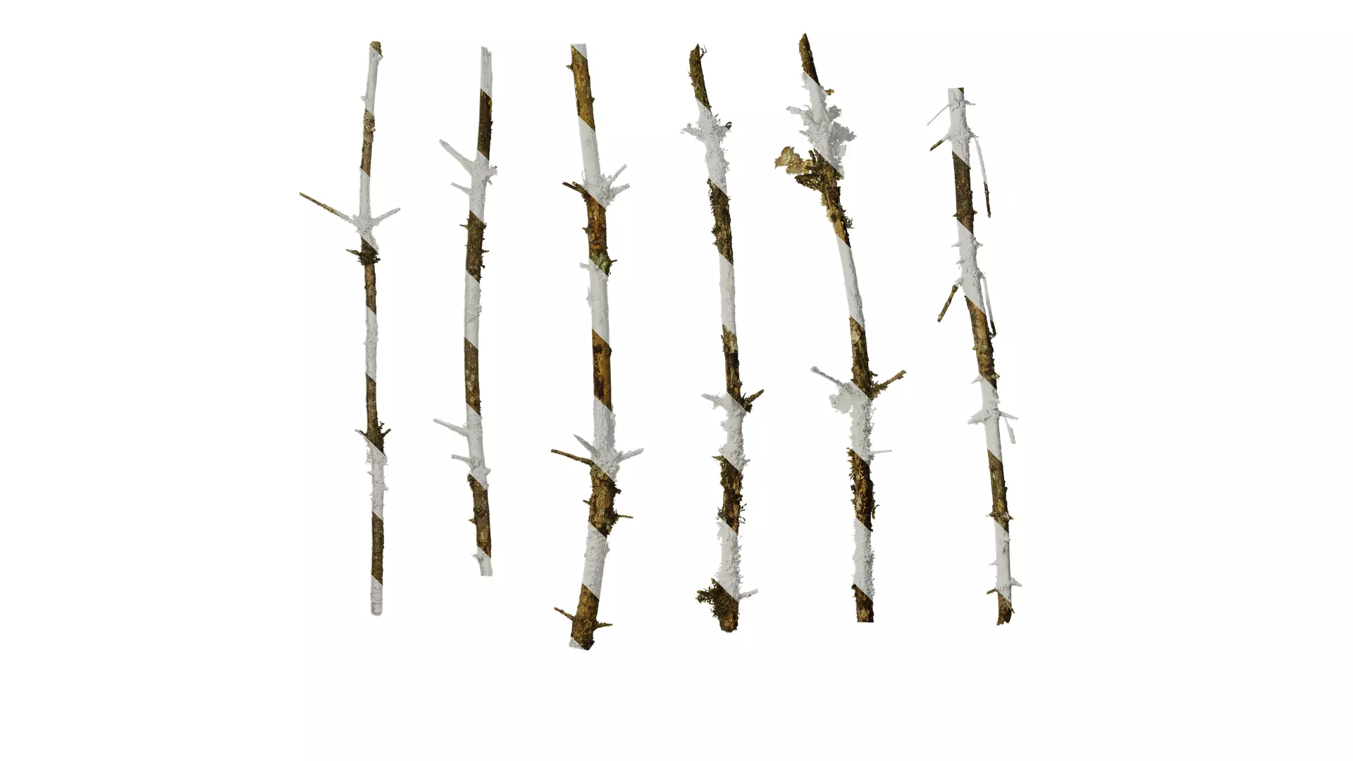 Anydrafts Dead branch 31 Texture