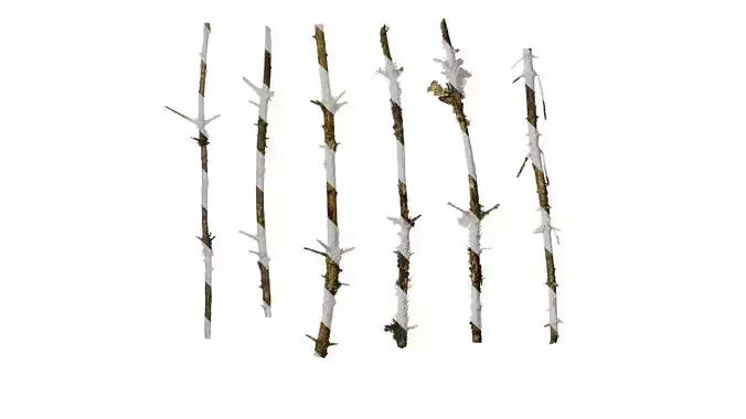 Anydrafts Dead branch 31