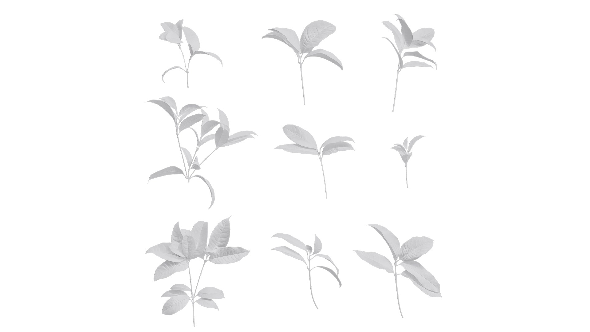 Osmanthus fragrans Low-poly 3D model_59