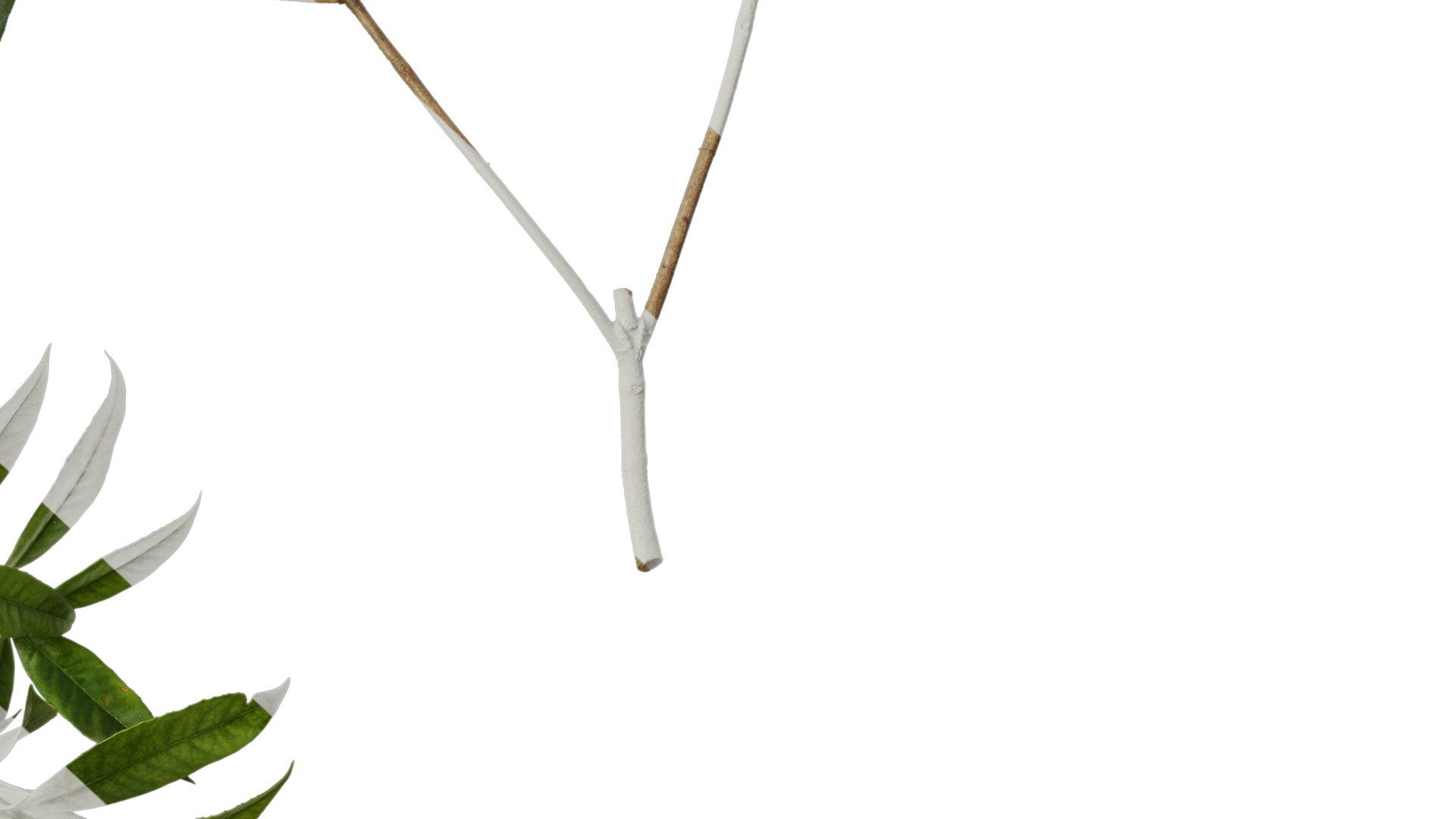 Osmanthus fragrans Low-poly 3D model_84