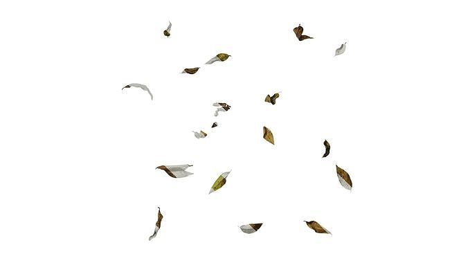 Anydrafts Dead leaves 01 Texture