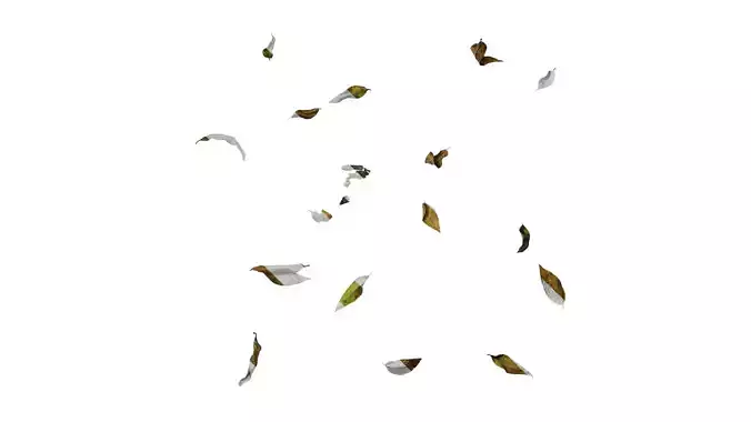 Anydrafts Dead leaves 01