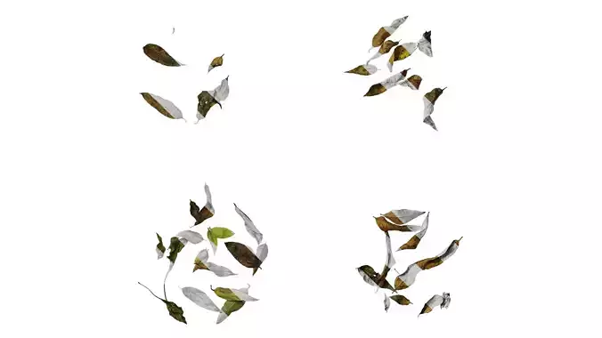 Anydrafts Dead leaves 02