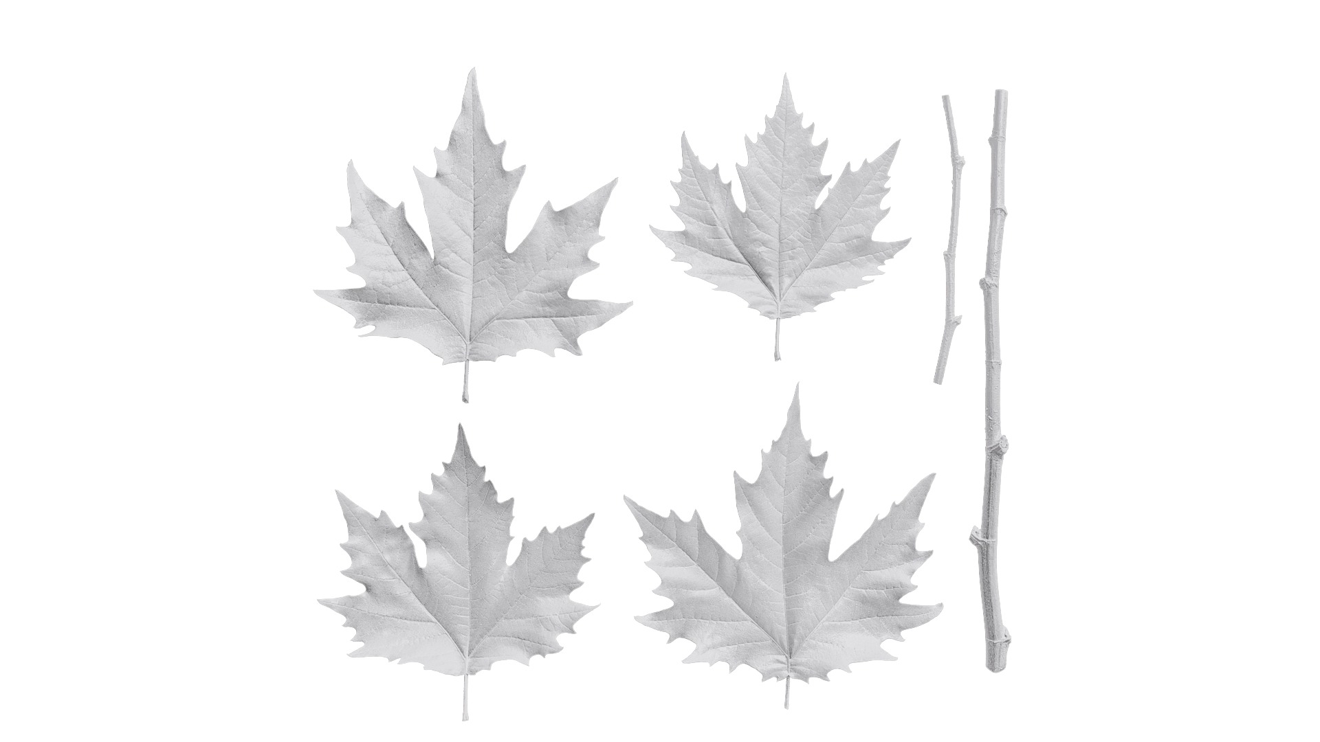 Platanus orientalis Low-poly 3D model_45