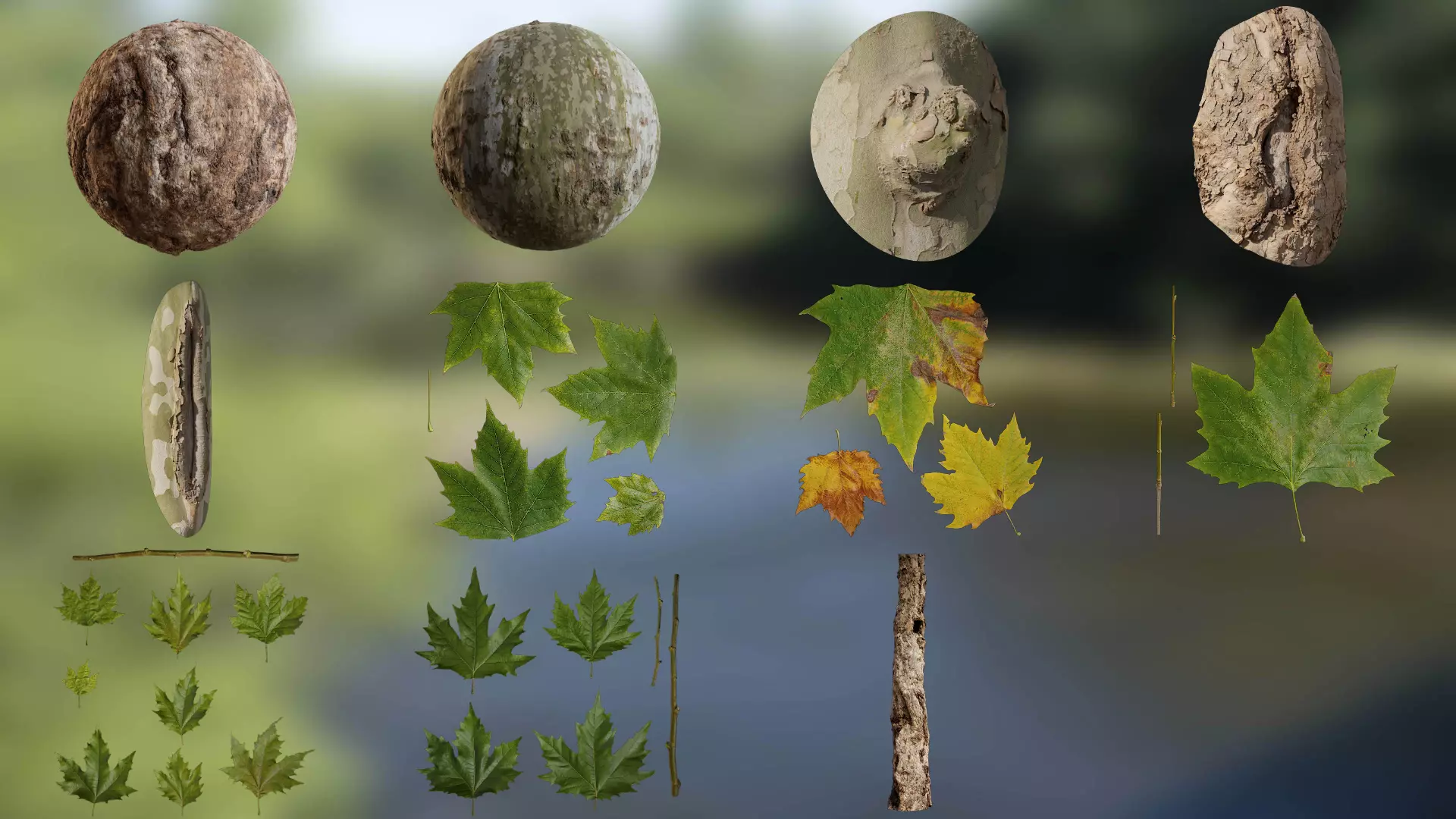 Platanus orientalis Low-poly 3D model_0