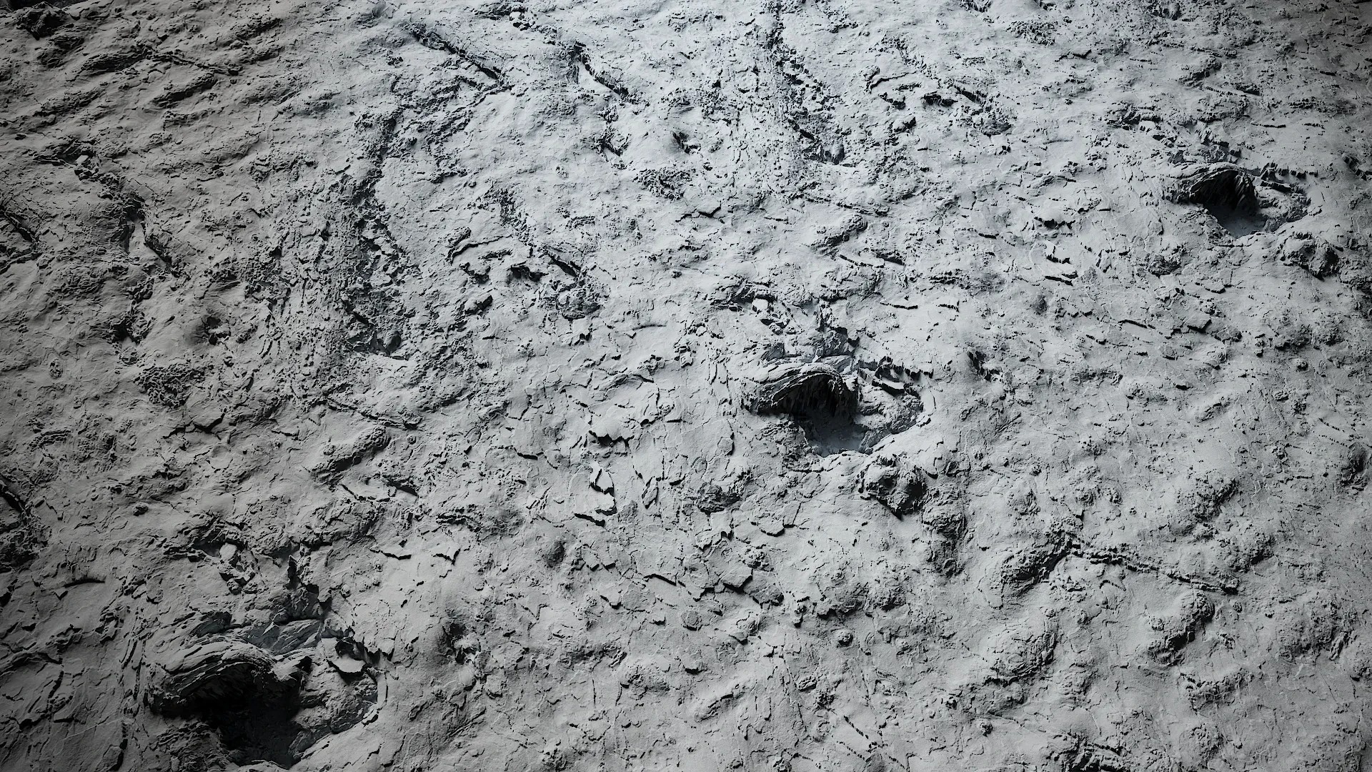 Platanus orientalis Low-poly 3D model_2