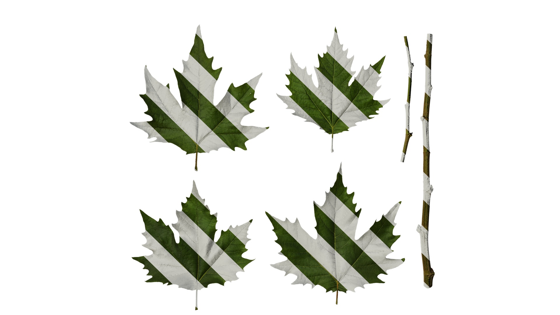 Platanus orientalis Low-poly 3D model_46