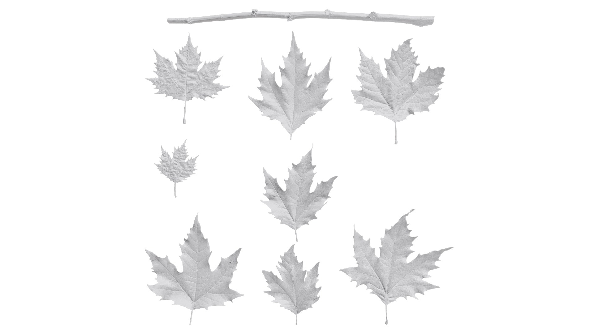 Platanus orientalis Low-poly 3D model_35