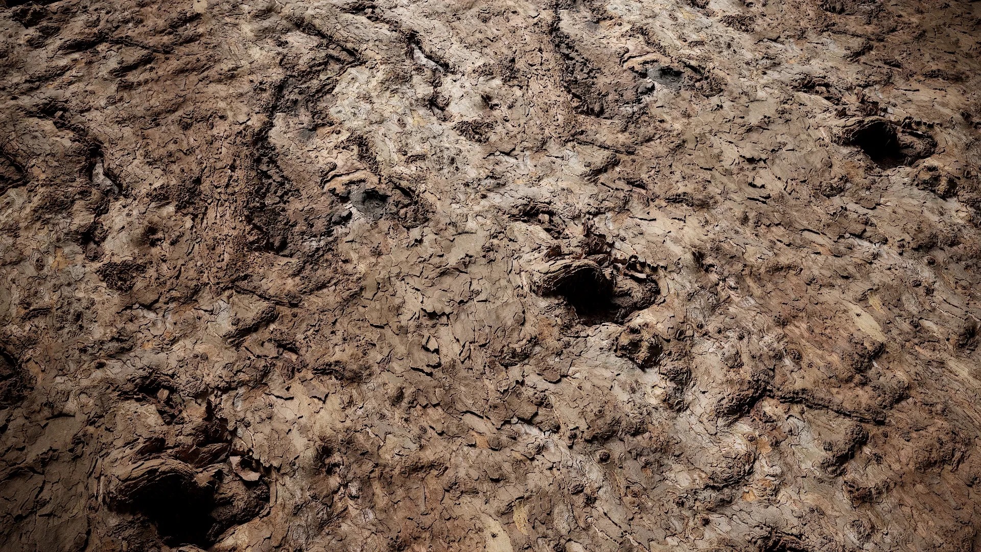 Platanus orientalis Low-poly 3D model_1