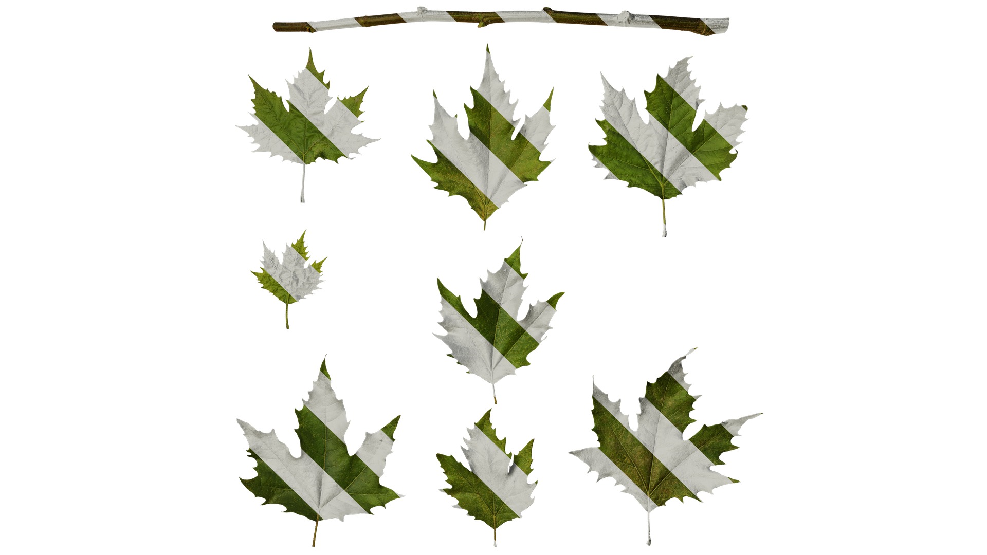 Platanus orientalis Low-poly 3D model_36