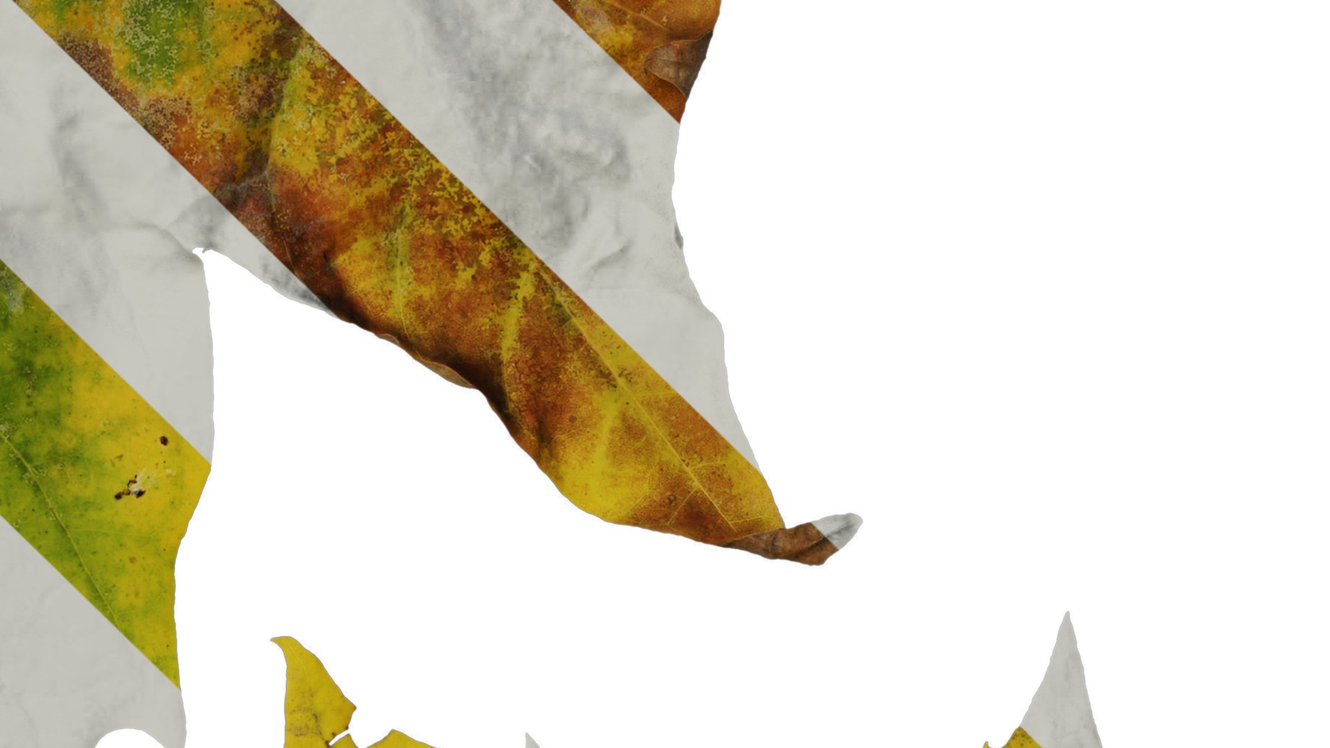 Platanus orientalis Low-poly 3D model_22