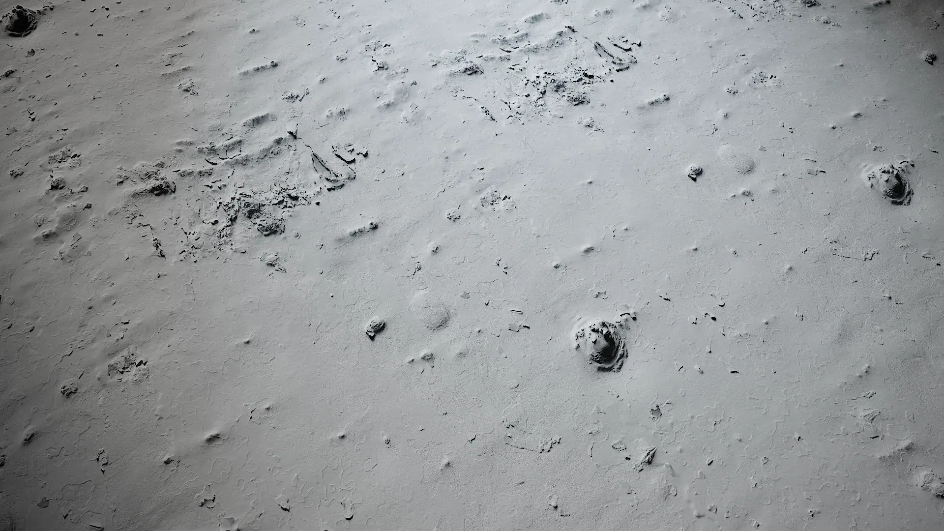 Platanus orientalis Low-poly 3D model_4