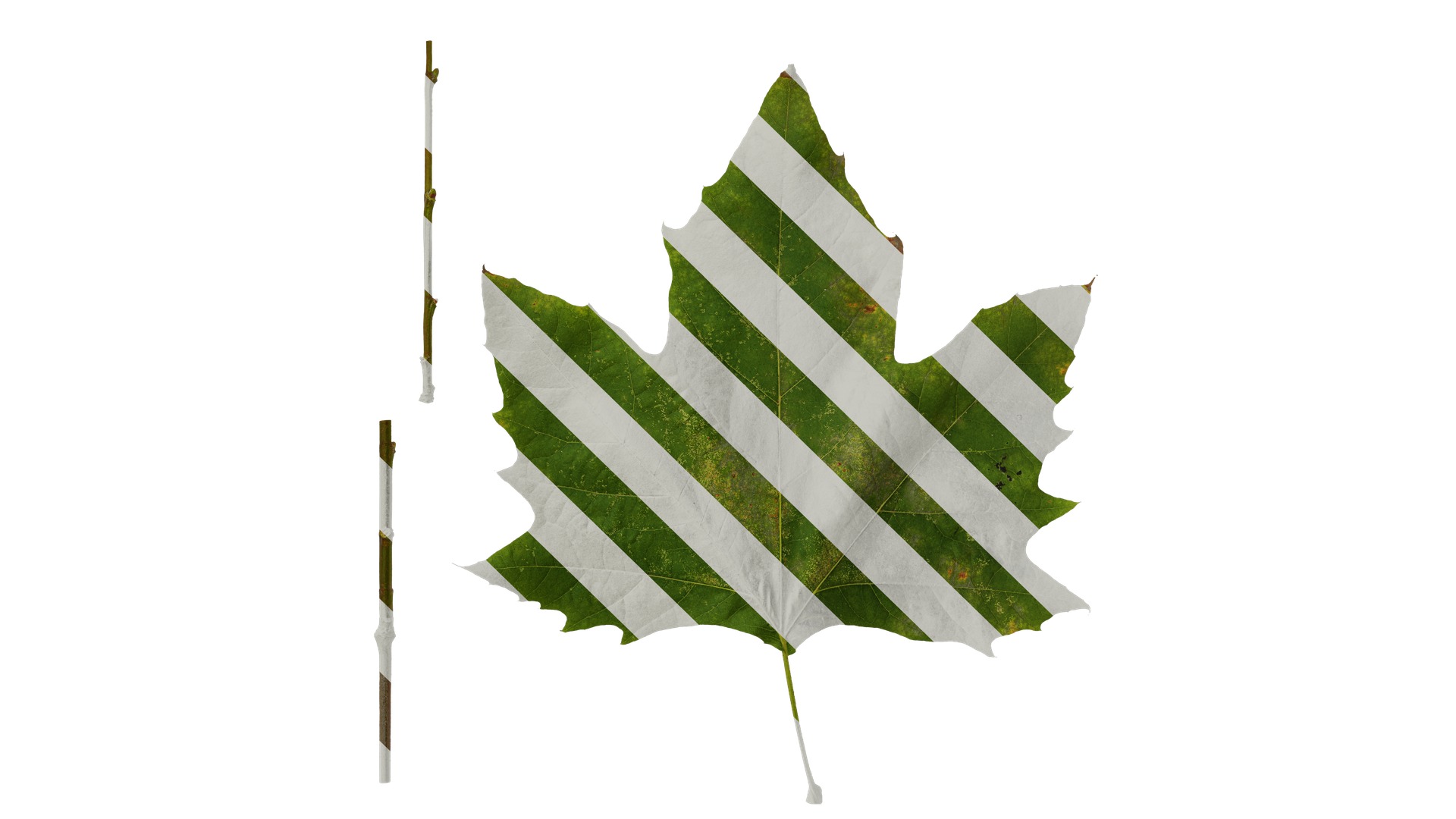 Platanus orientalis Low-poly 3D model_27