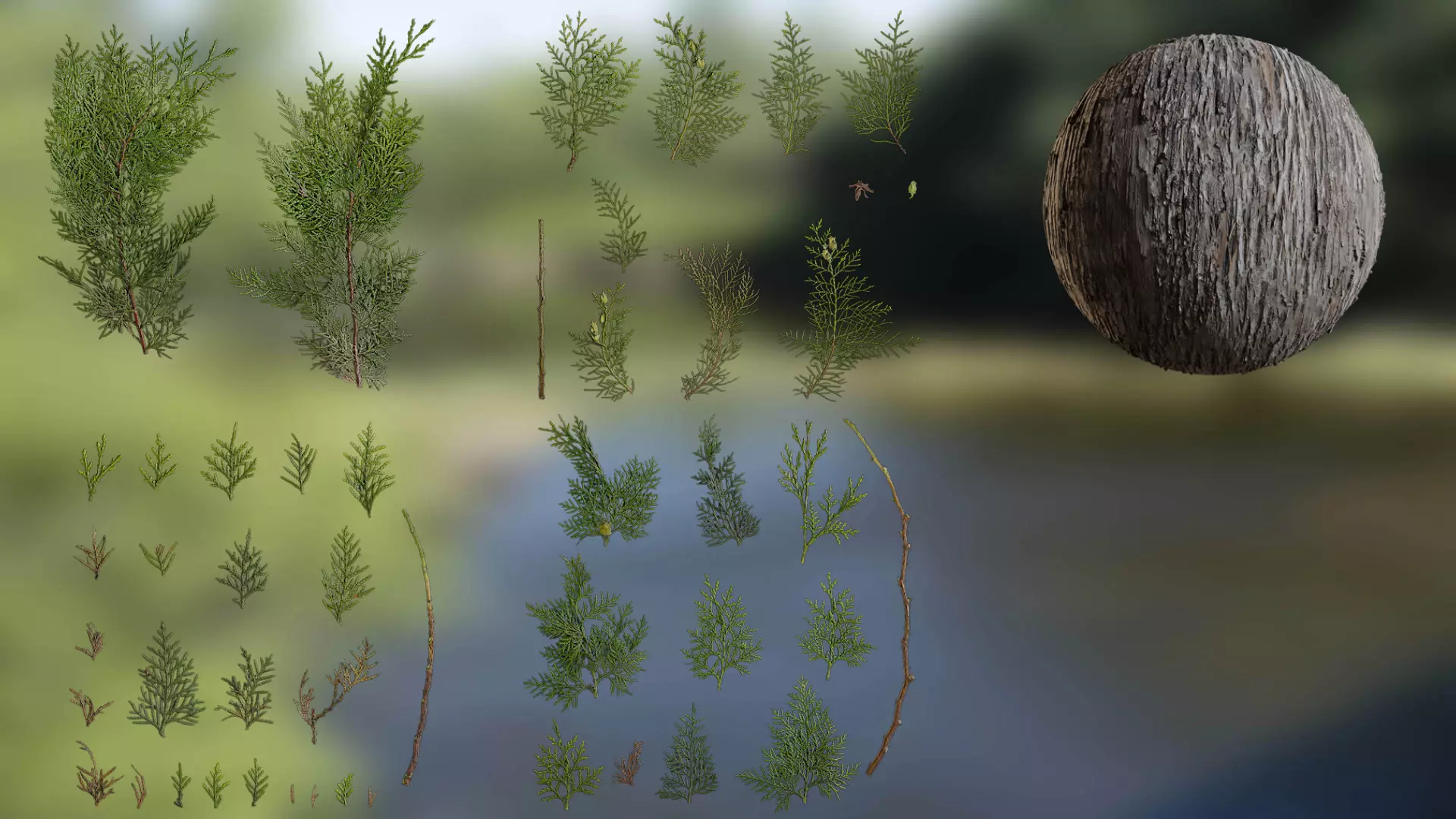 Platycladus orientalis Low-poly 3D model