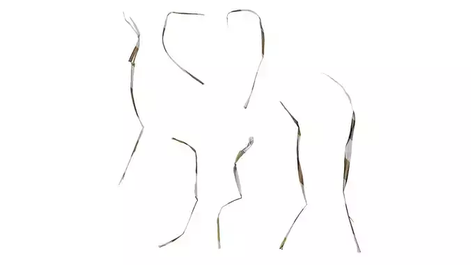 Anydrafts Dead leaves 04