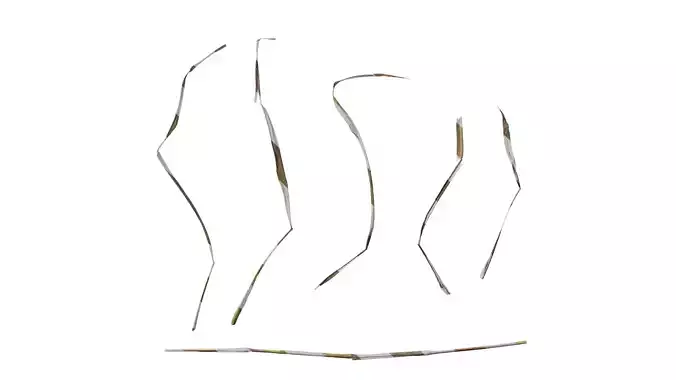 Anydrafts Dead leaves 05