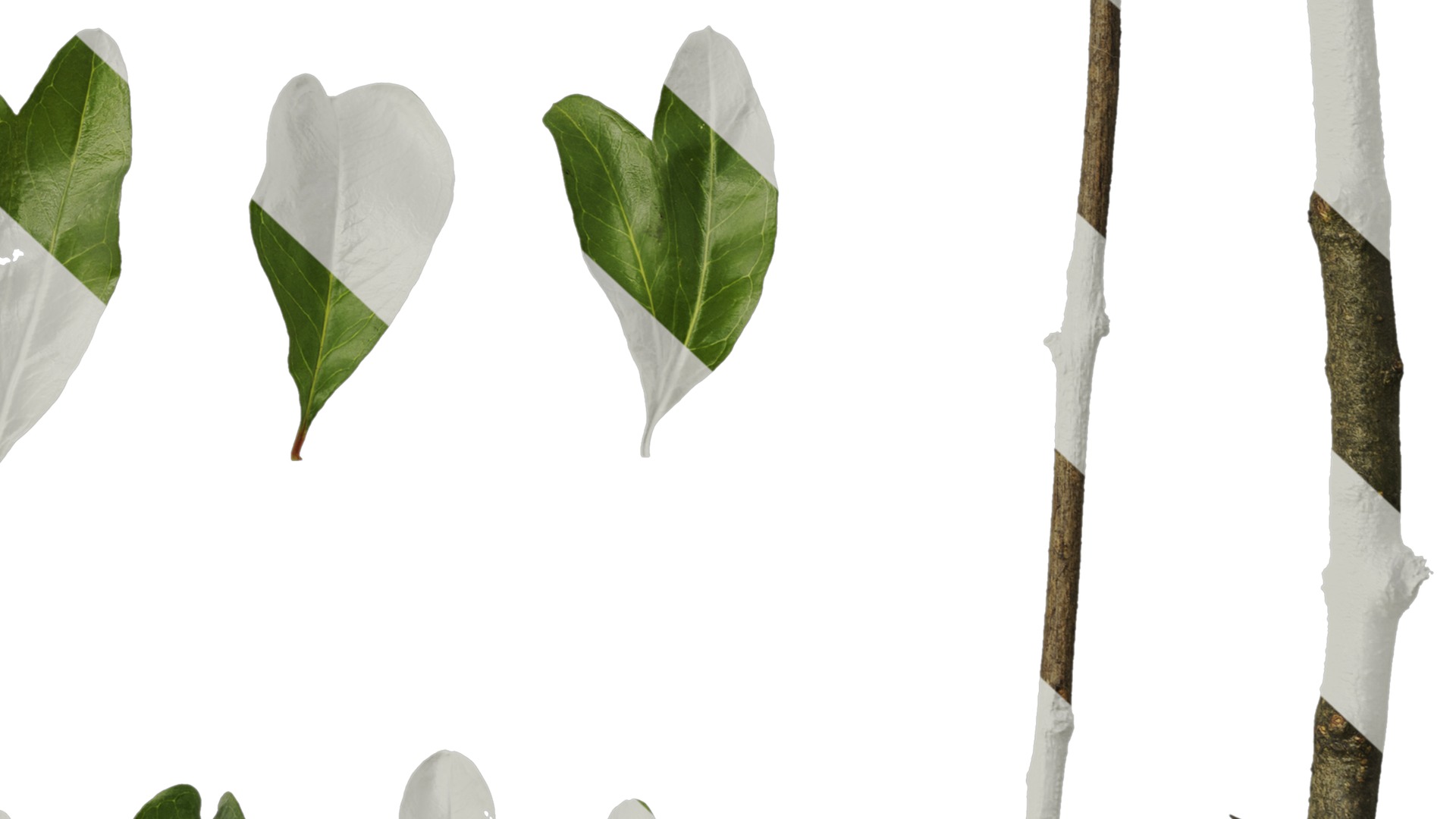 Punica granatum Low-poly 3D model_139