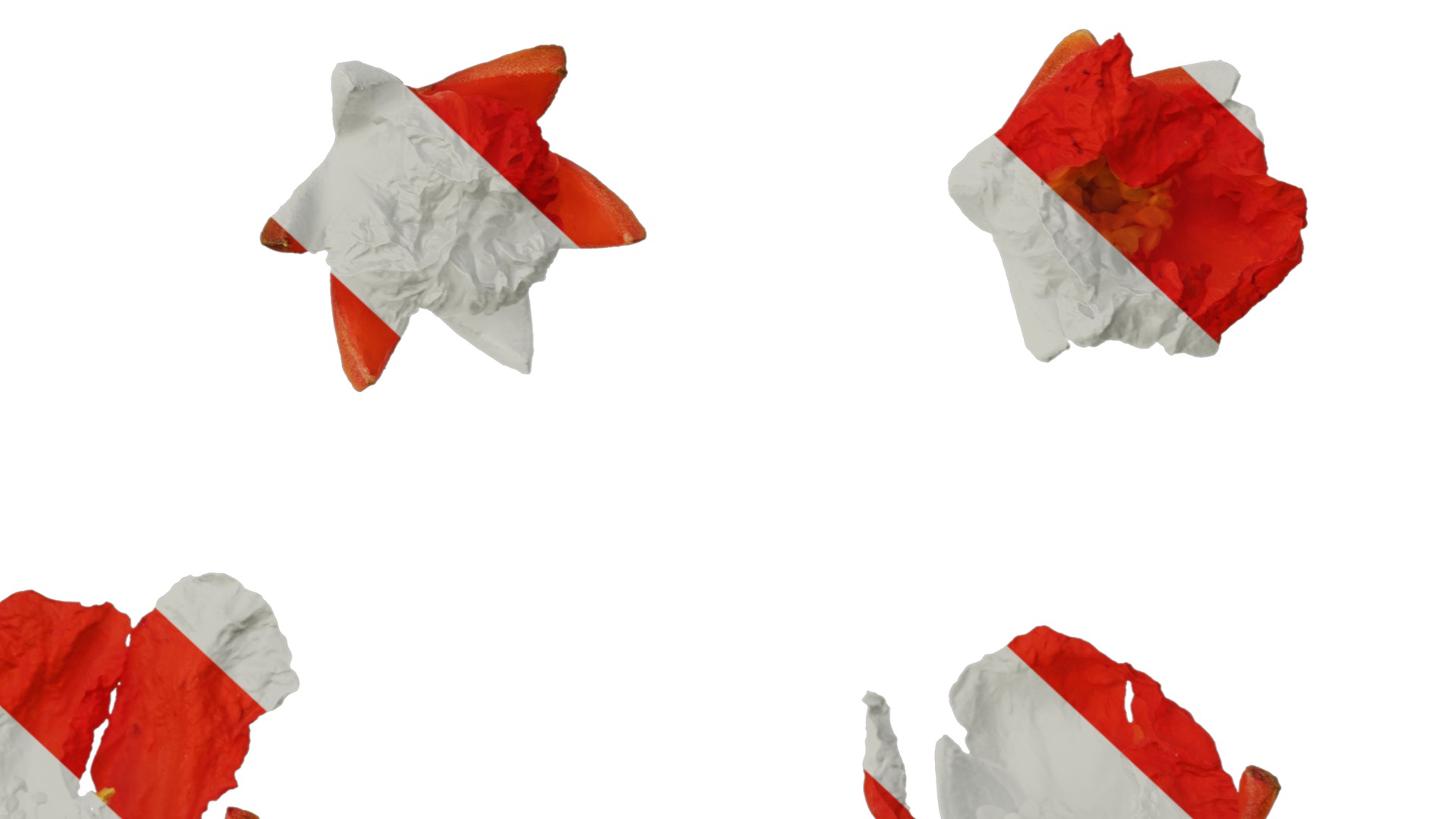 Punica granatum Low-poly 3D model_107