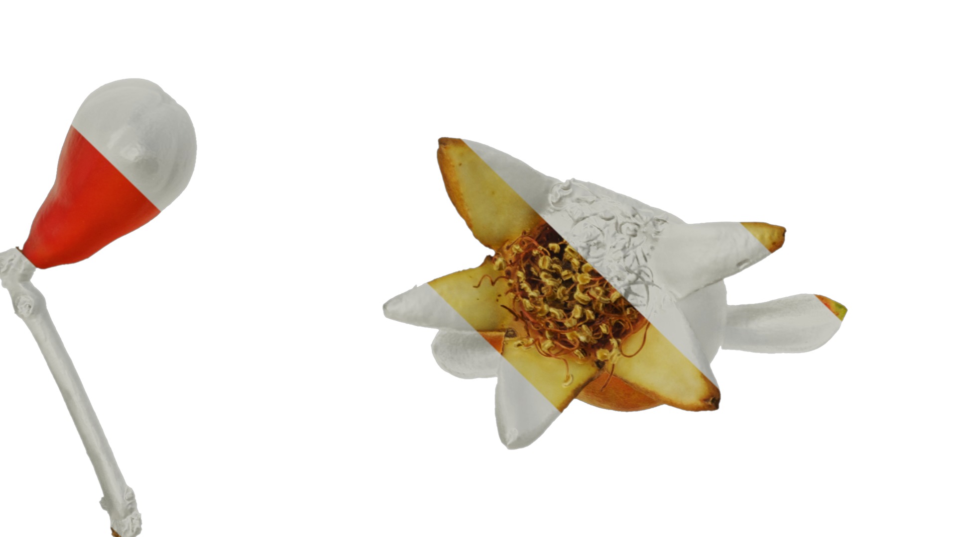 Punica granatum Low-poly 3D model_104