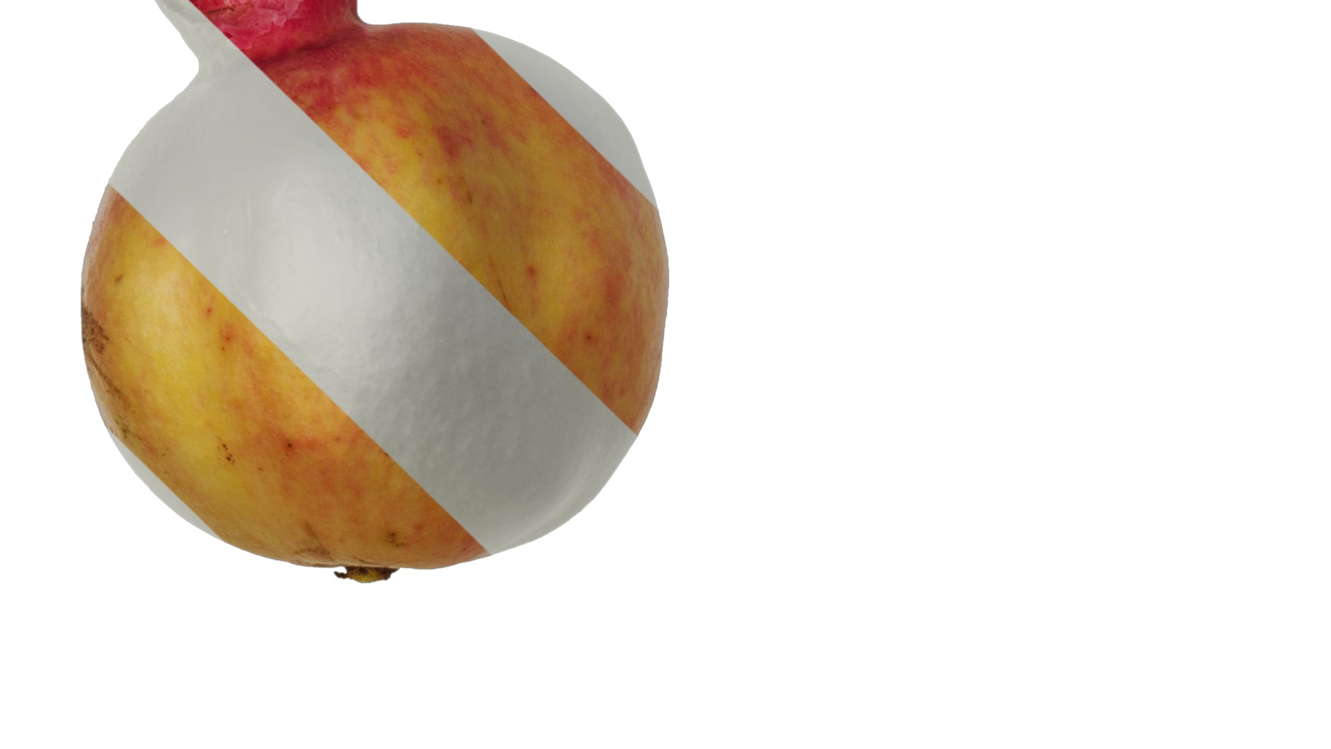 Punica granatum Low-poly 3D model_121