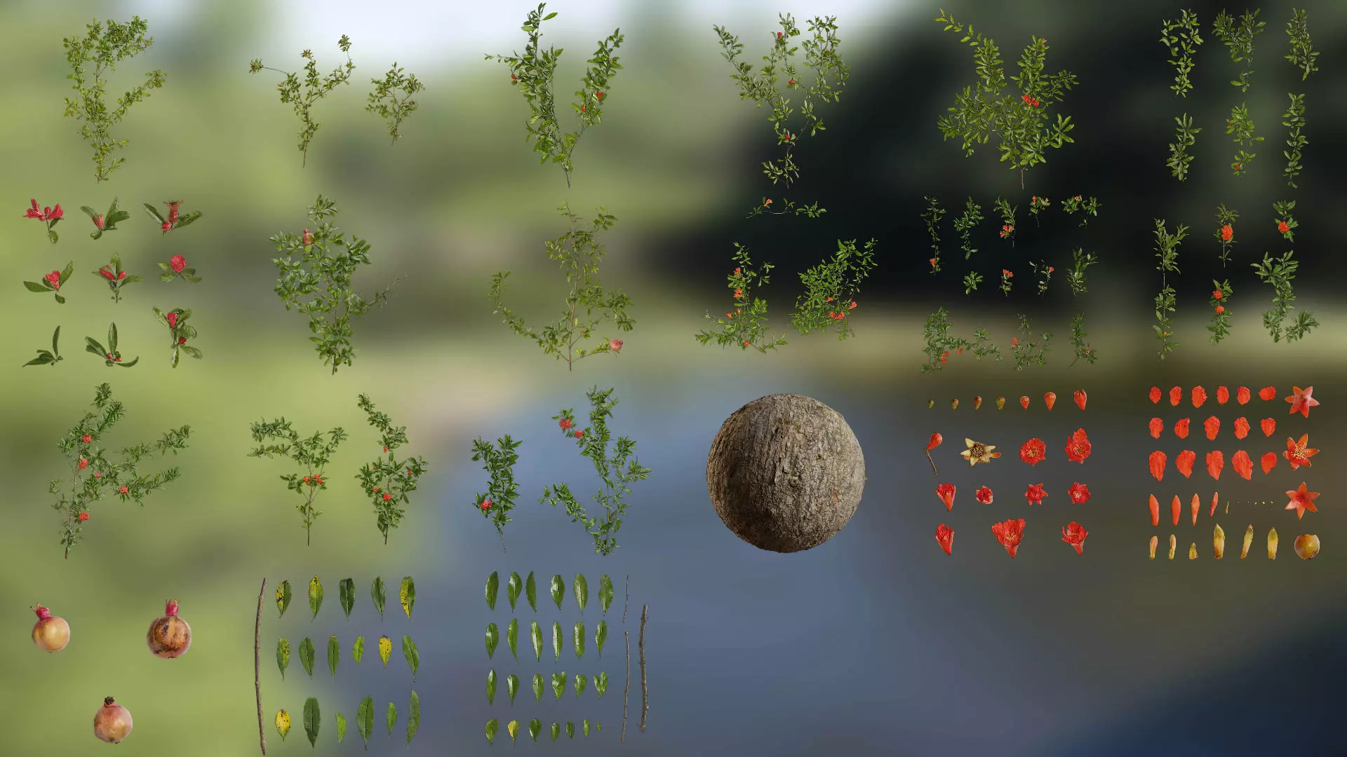 Punica granatum Low-poly 3D model_0