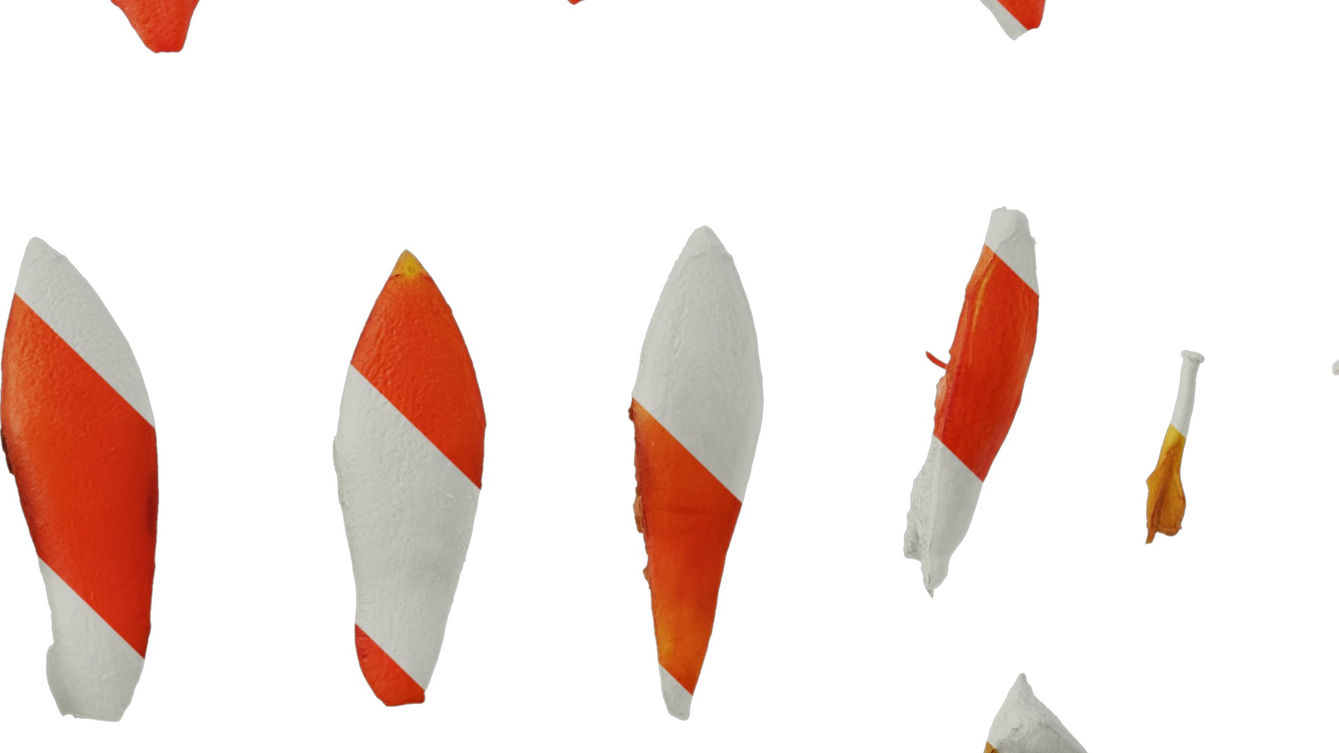 Punica granatum Low-poly 3D model_116