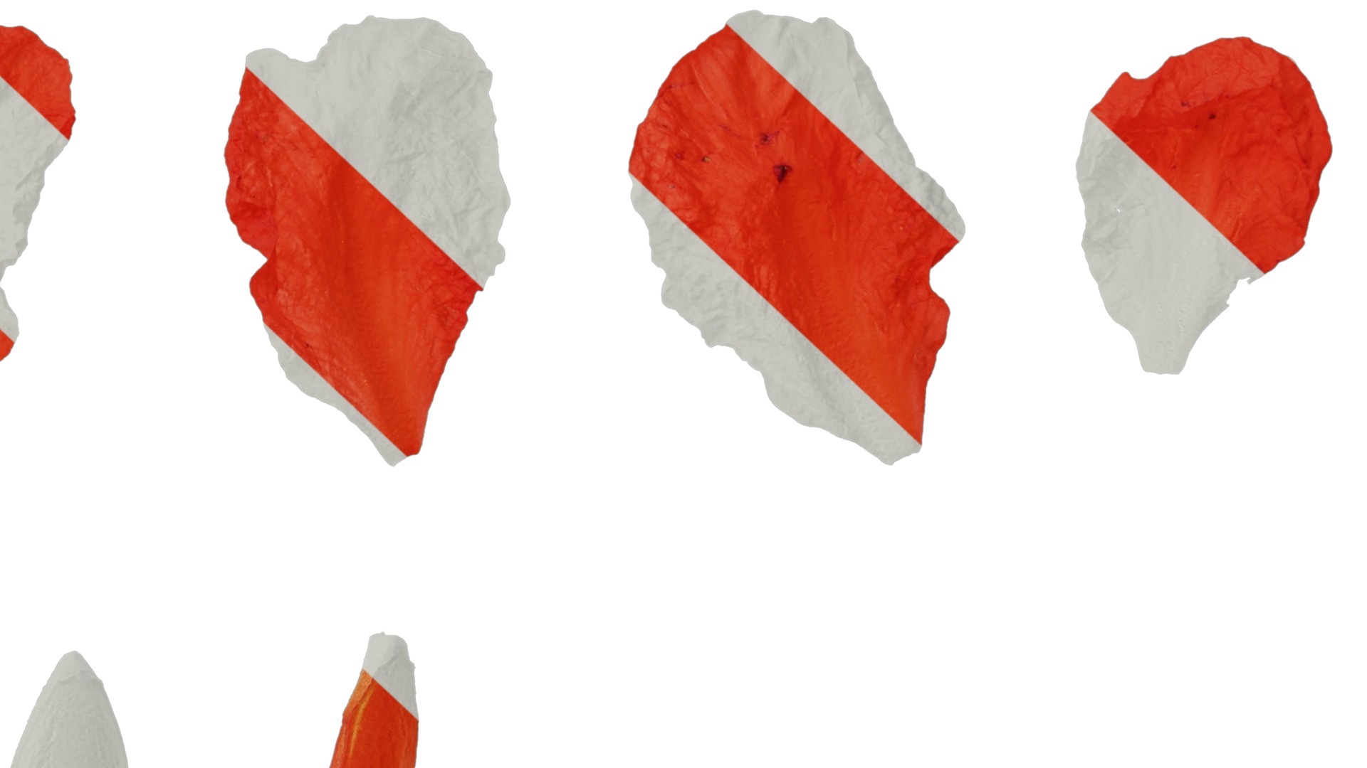 Punica granatum Low-poly 3D model_118