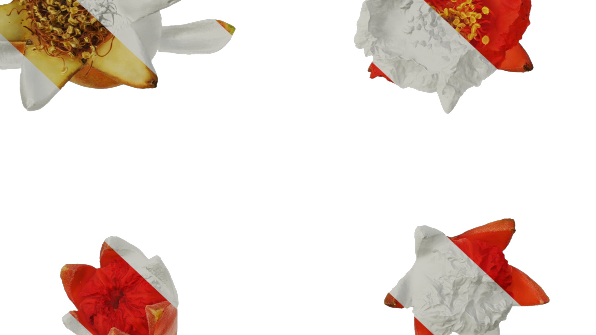 Punica granatum Low-poly 3D model_108