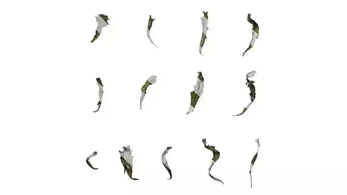 Anydrafts Dead leaves 06