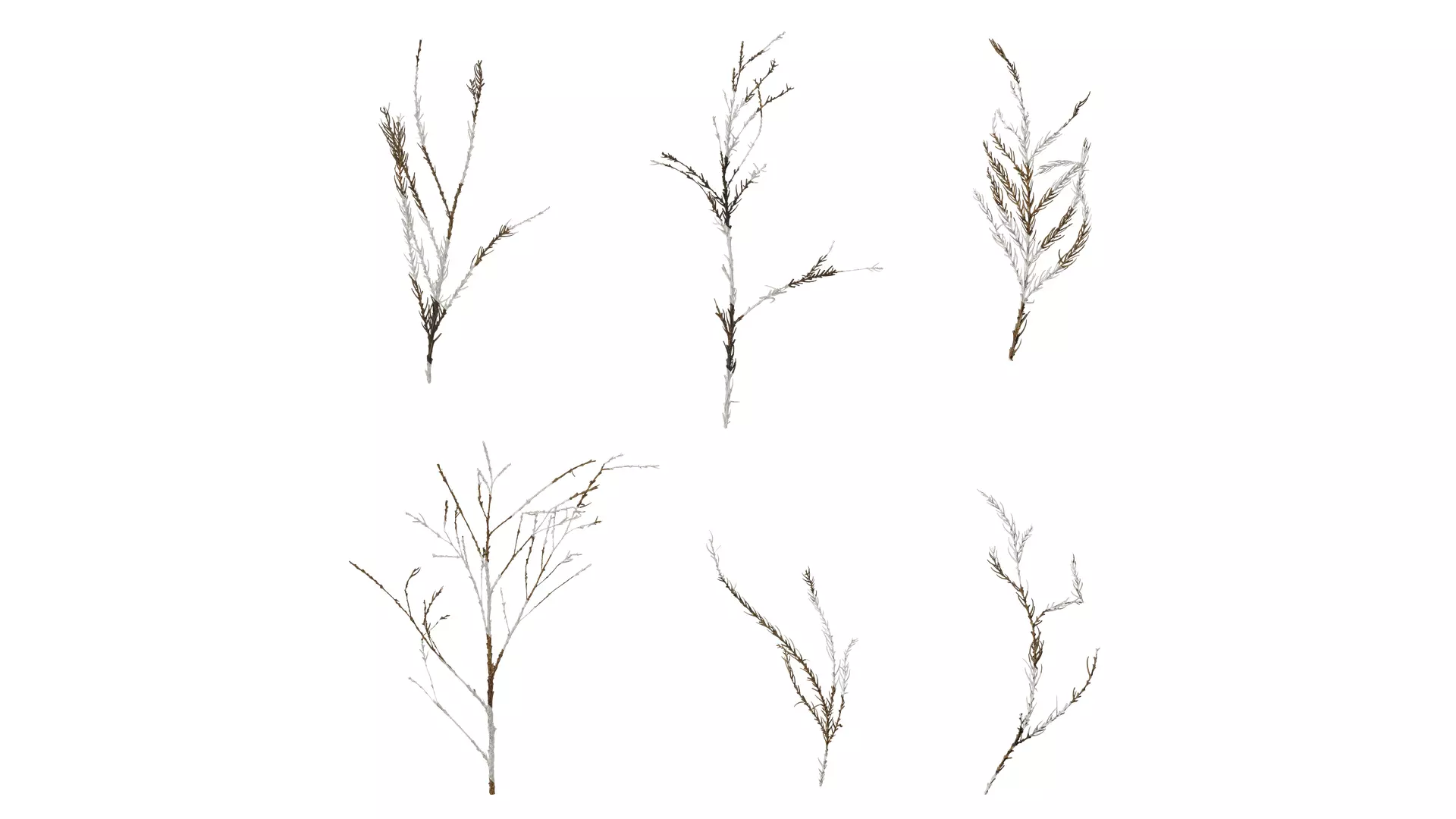 Anydrafts Dead pine needles 01 Texture_0