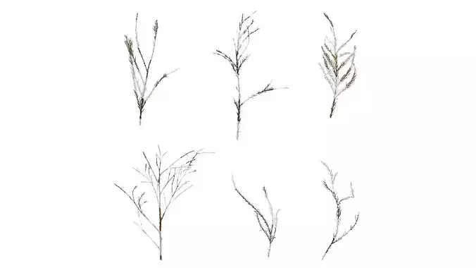 Anydrafts Dead pine needles 01