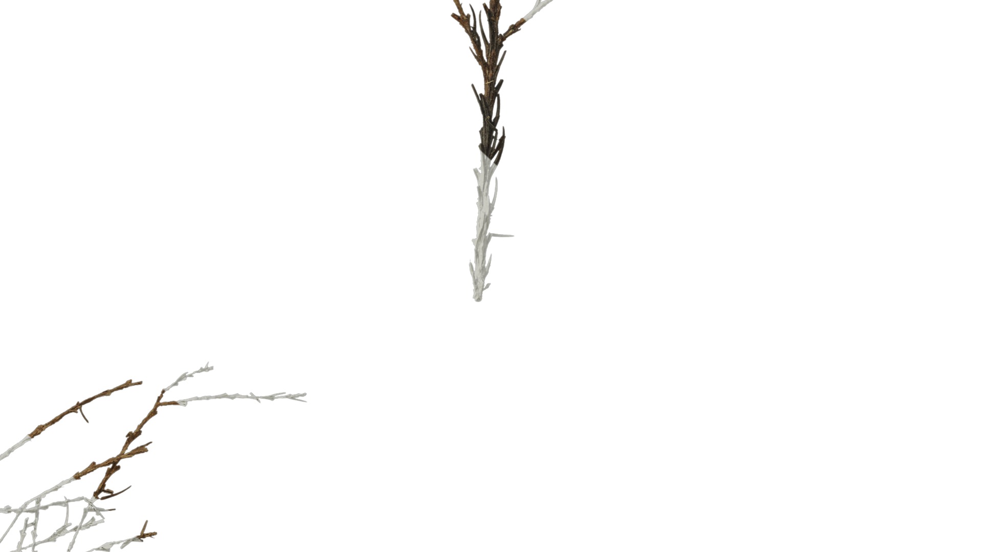 Anydrafts Dead pine needles 01 Texture_7